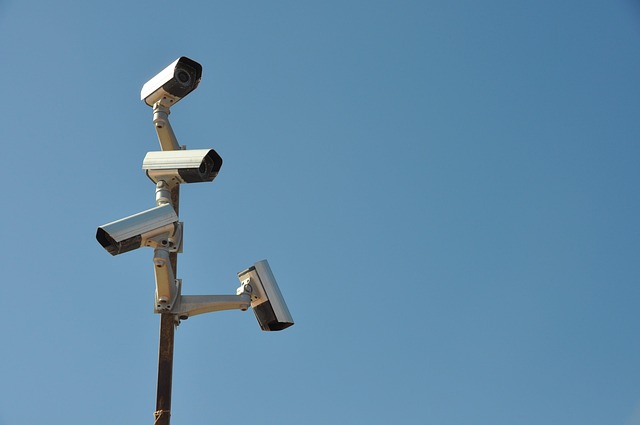 Behavior Detection